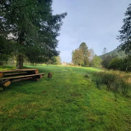 Domek alpejski A Louer, Spa, Sauna, Billard, *
