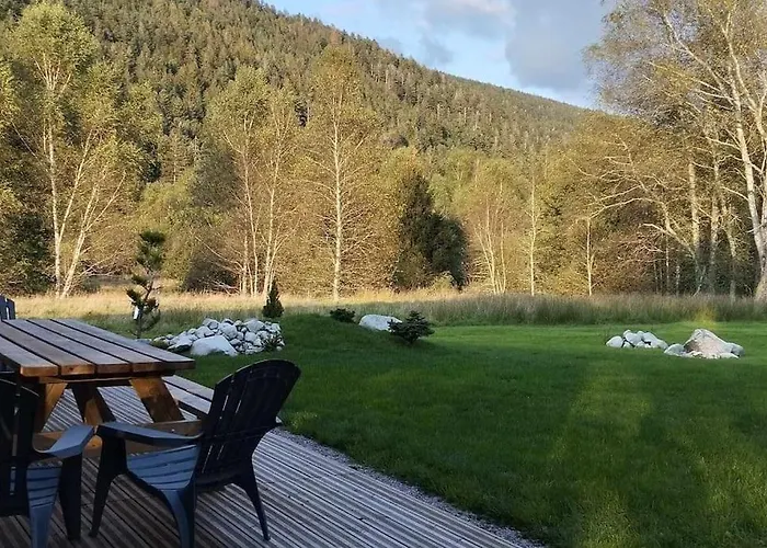 Σαλέ A Louer, Spa, Sauna, Billard, Gérardmer