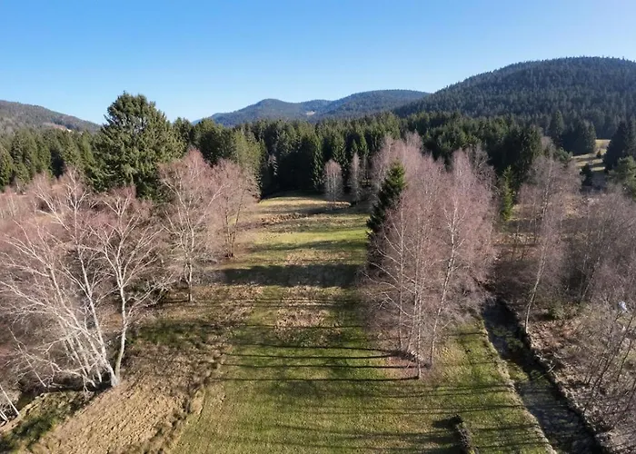 A Louer, Spa, Sauna, Billard, Σαλέ Gérardmer